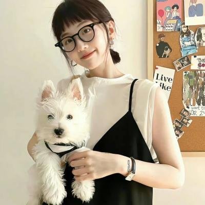 来自日本的机器狗